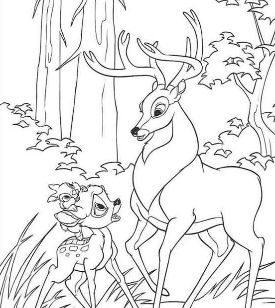Bambi kolorowanki
